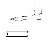 Illustration of a hand above a book